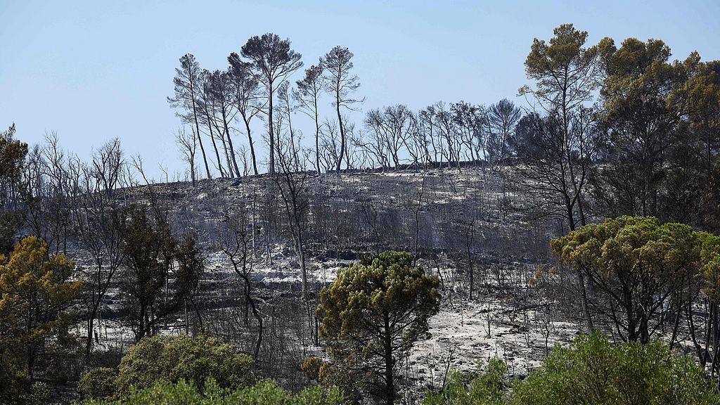 France's devastating fires now 'under control,' says PM