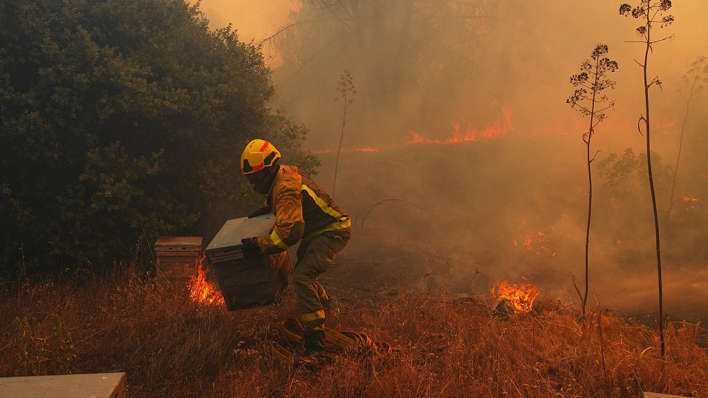 A firefighter moves beehives away from flames while battling a wildfire in San Martin de Valdeiglesias, west of Madrid, Spain, July 26, 2026. /VCG