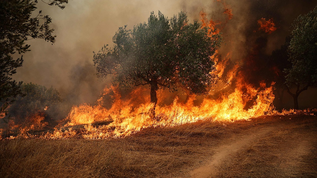 Live: Latest on raging wildfires in Greece