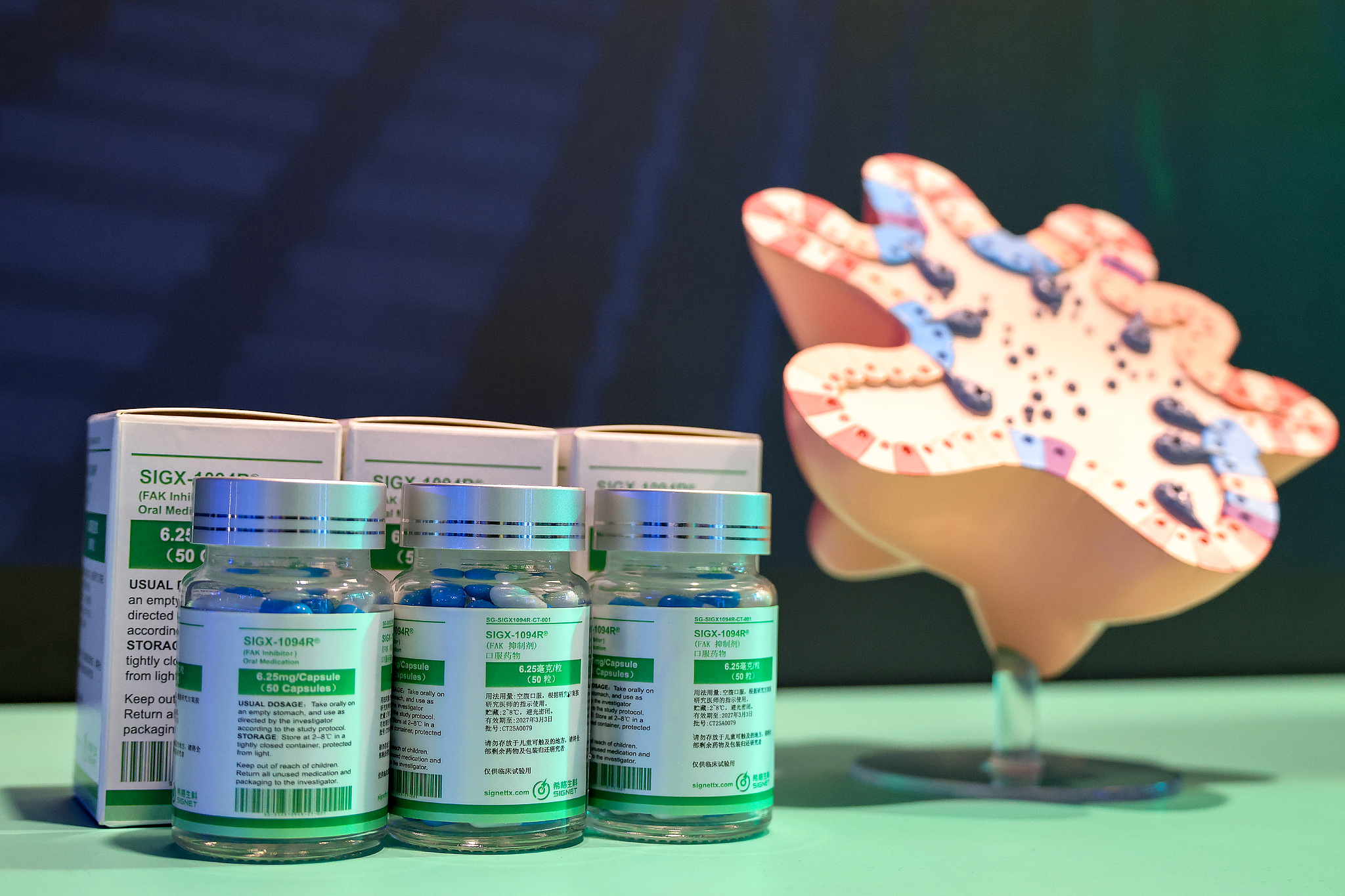 The innovative drug developed by Signet Therapeutics, shown at the 2026 World Artificial Intelligence Conference held in Shanghai, July 29, 2026. /VCG