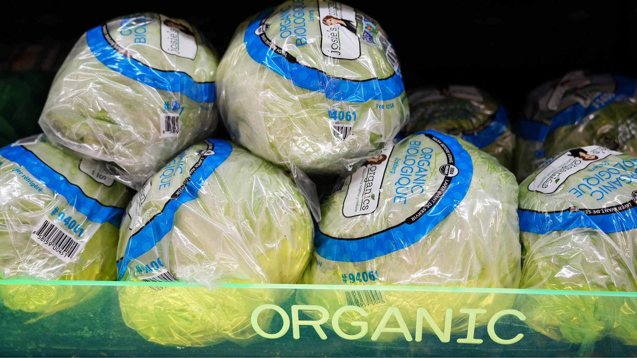 Lettuce is stocked on the shelves at a grocery store chain in Minneapolis, Minnesota, United States, July 31, 2026. /VCG