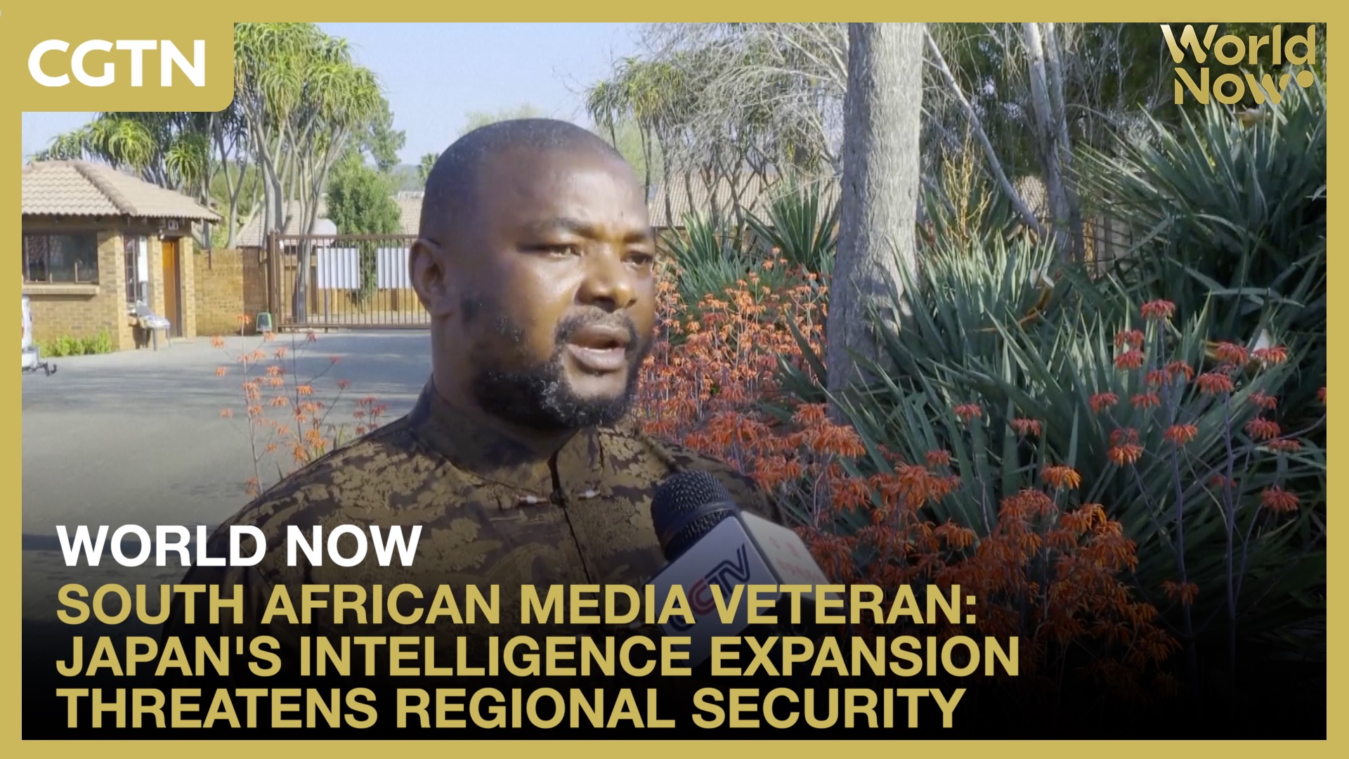 South African media veteran: Japan's intelligence expansion threatens regional security