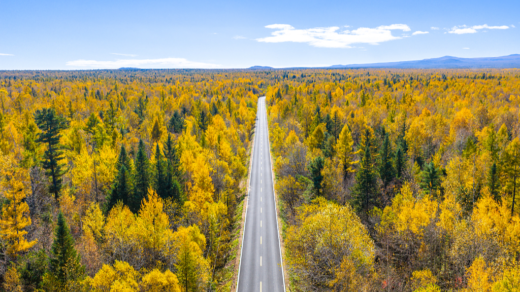 Autumn scenery along the G331 highway around Changbai Mountain, Baishan City, northeast China's Jilin Province, October 7, 2025. /VCG