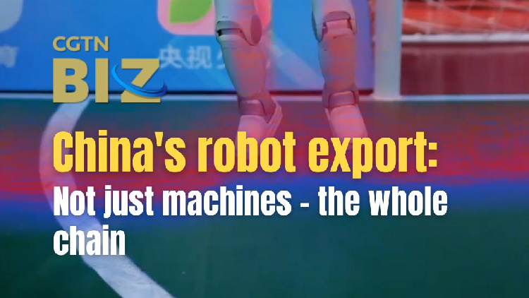 China's robot export: Not just machines – the whole chain