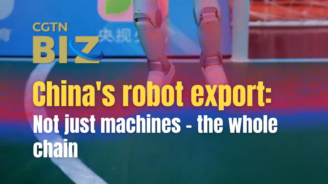 China's robot export: Not just machines – the whole chain