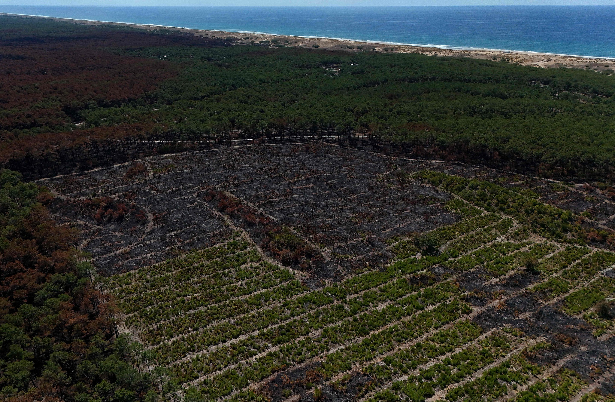 A scorched landscape in the wake of a wildfire that swept through the Gironde region in Lege-Cap-Ferret, southwestern France, August 4, 2026. /VCG