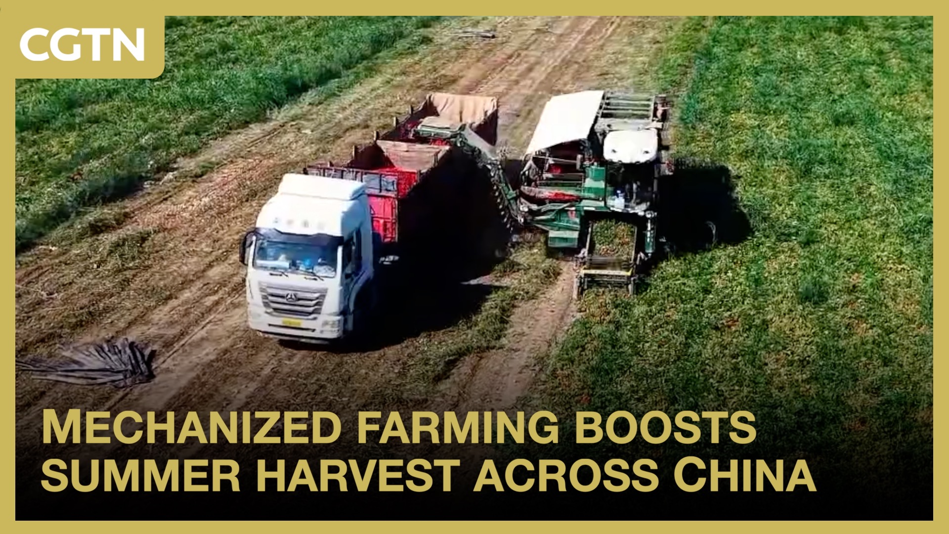 Mechanized farming boosts summer harvest across China