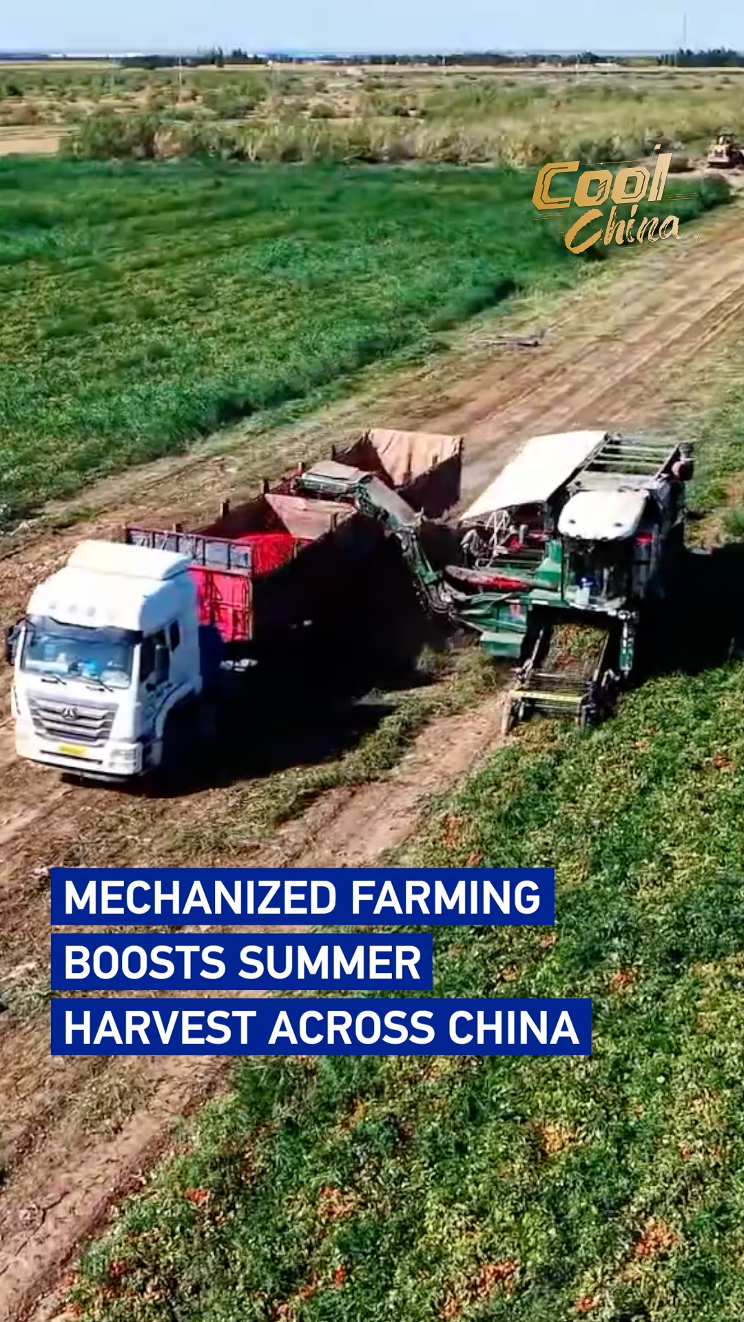 Mechanized farming boosts summer harvest across China