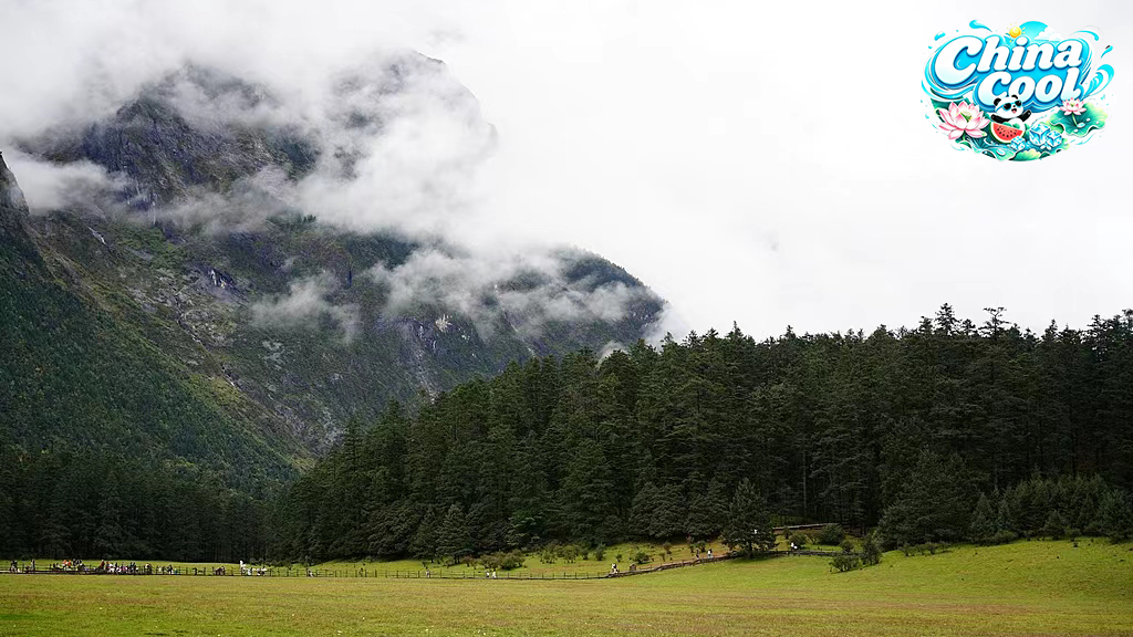 Live: Exploring Spruce Meadow at Yulong Snow Mountain – Ep. 3