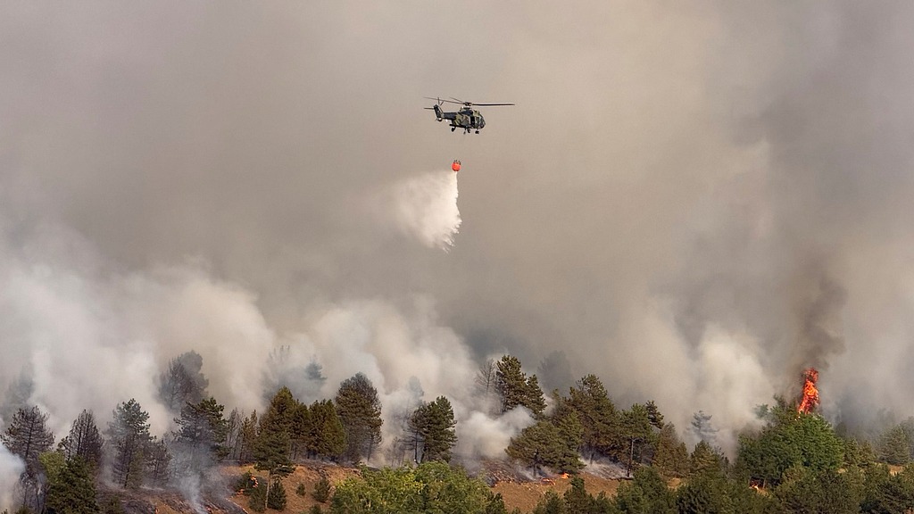 Serbia battles wildfires as extreme heat, drought intensify