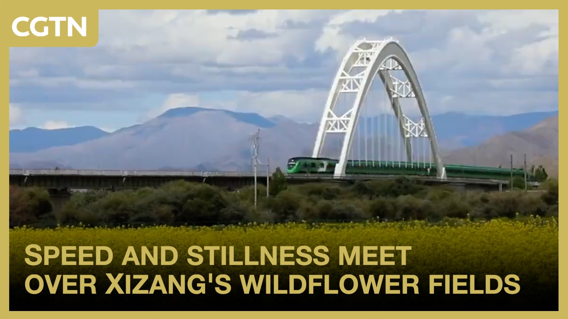Speed and stillness meet over Xizang's wildflower fields