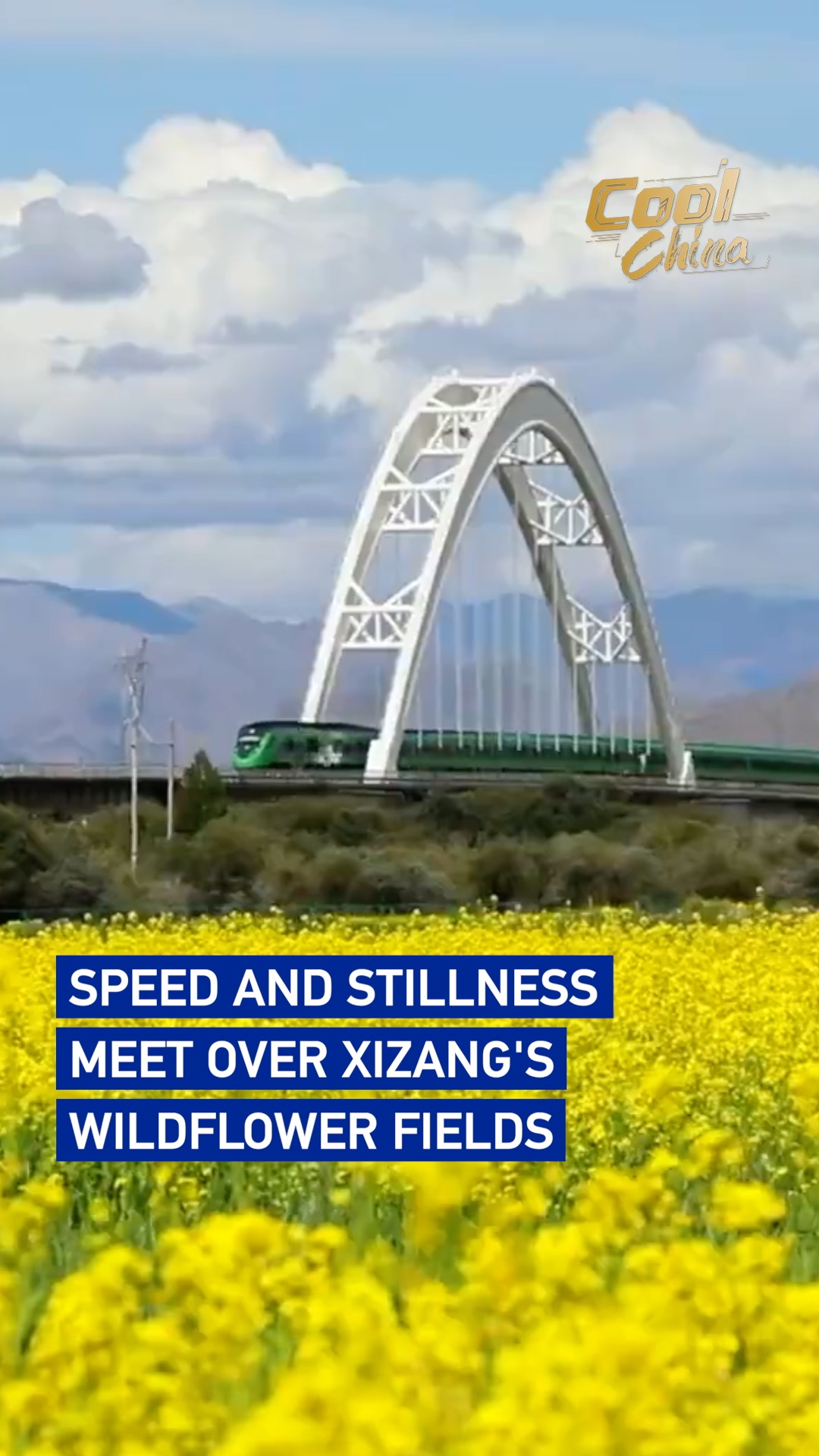 Speed and stillness meet over Xizang's wildflower fields