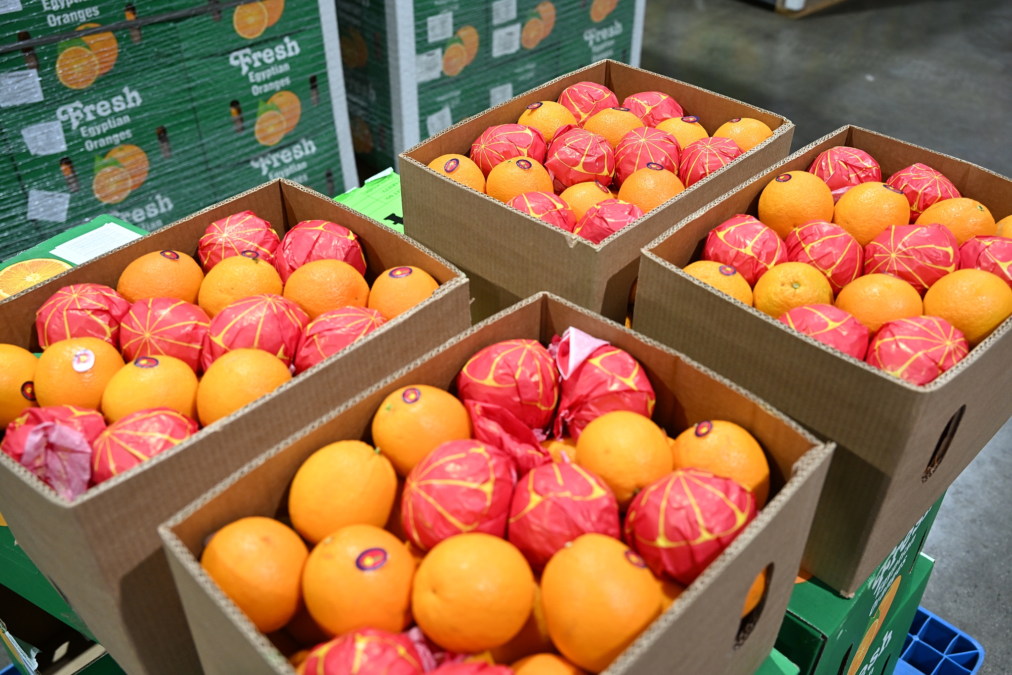 At the Waigaoqiao Port Area of Shanghai, a batch of fresh oranges weighing a total of 516 tons from Egypt completed their customs clearance procedures under the supervision of the Shanghai Customs on May 1, 2026. They became the first batch of Egyptian goods in China to enjoy zero-tariff policy for China-Africa trade. /VCG