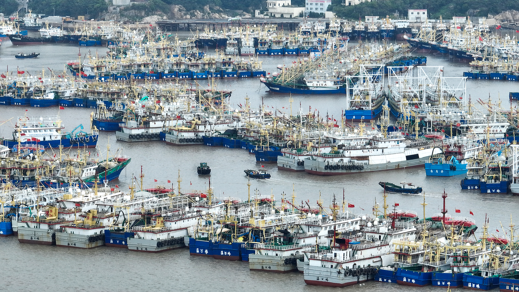 A photo shows more than 1,000 fishing boats moored in an orderly manner to shelter from Typhoon Dolphin, Ruoshan Fishing Port, Shitang Town, Wenling City, Zhejiang Province, east China, August 5, 2026. /VCG