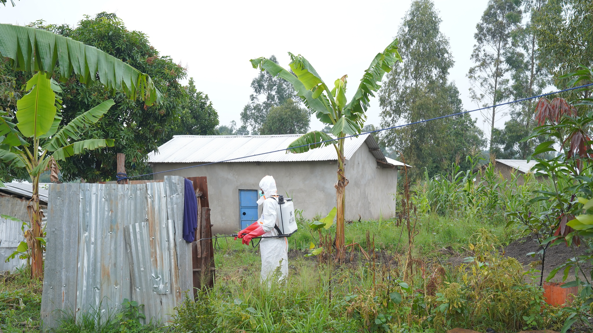 DRC Ebola outbreak exceeds 4,000 cases amid critical spread