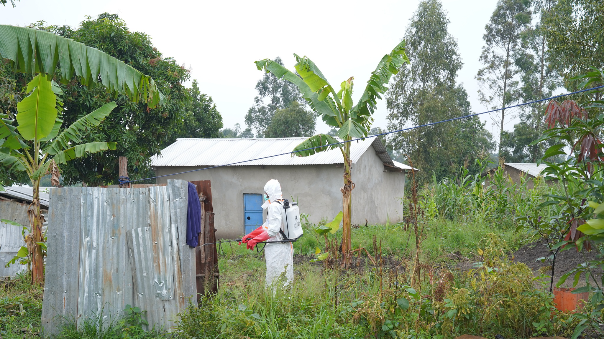 A health worker on the prevention and control team, seen at work in Ituri Province, DRC, August 5, 2026. /CFP