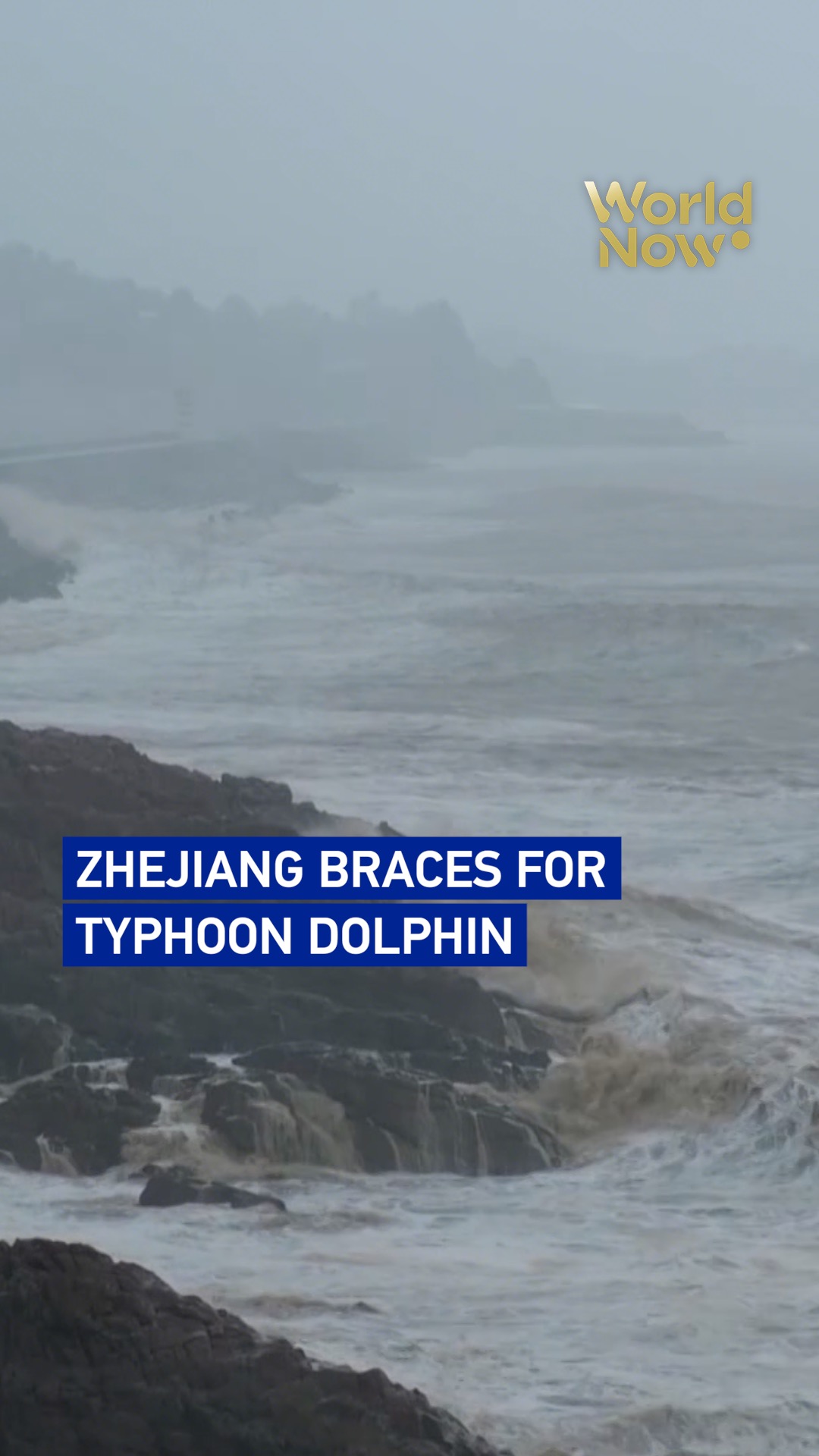 China's Zhejiang braces for Typhoon Dolphin