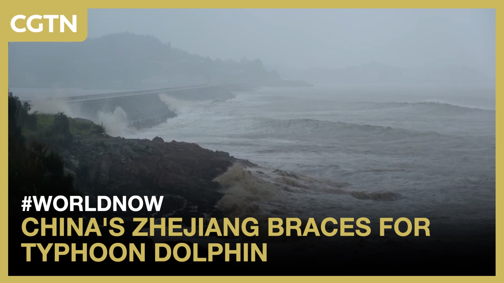 China's Zhejiang braces for Typhoon Dolphin