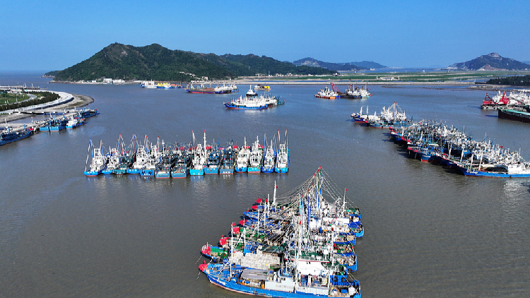 Live: East China provinces raise alert as Typhoon Dolphin approaches