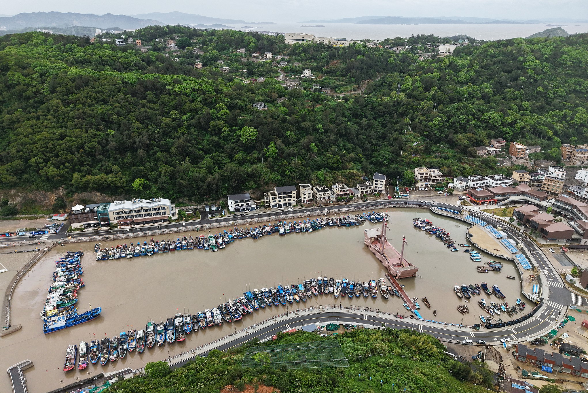 Fishing boats dock at the port to shelter from Typhoon Dolphin in Wenzhou, east China's Zhejiang Province, August 8, 2026. /VCG