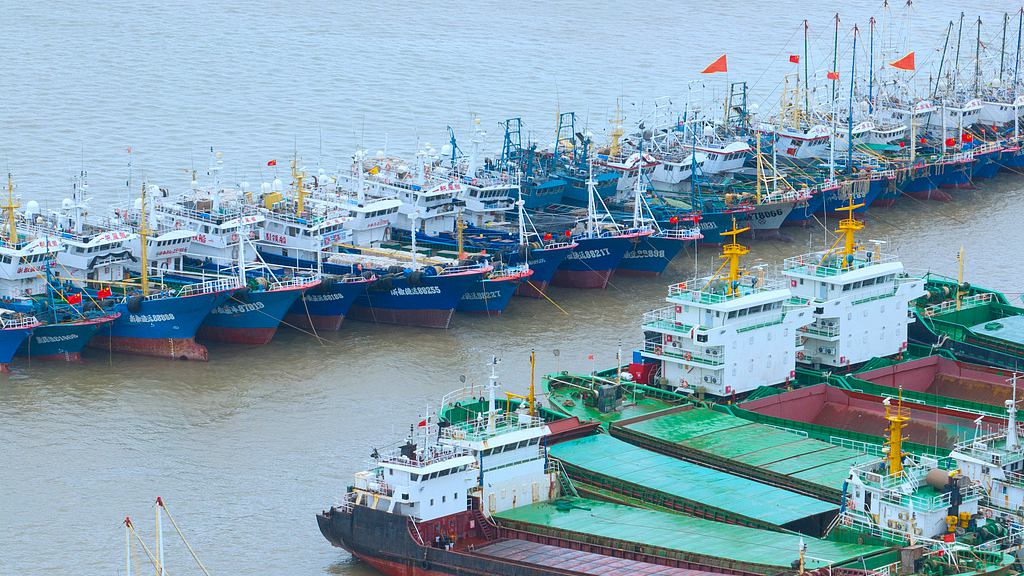 Boats return to a local port in Taizhou, Zhejiang Province, as Typhoon Dolphin approaches, August 8, 2026. /VCG