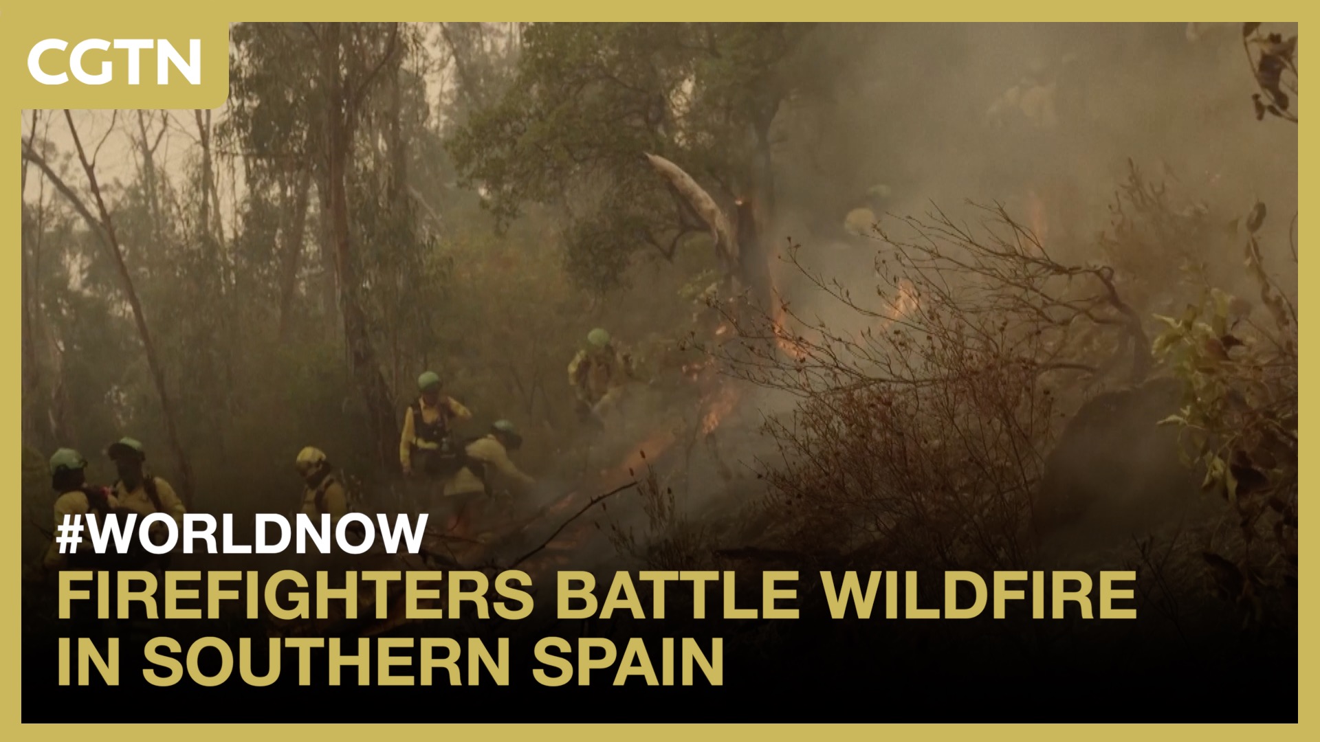 Firefighters battle wildfire in southern Spain