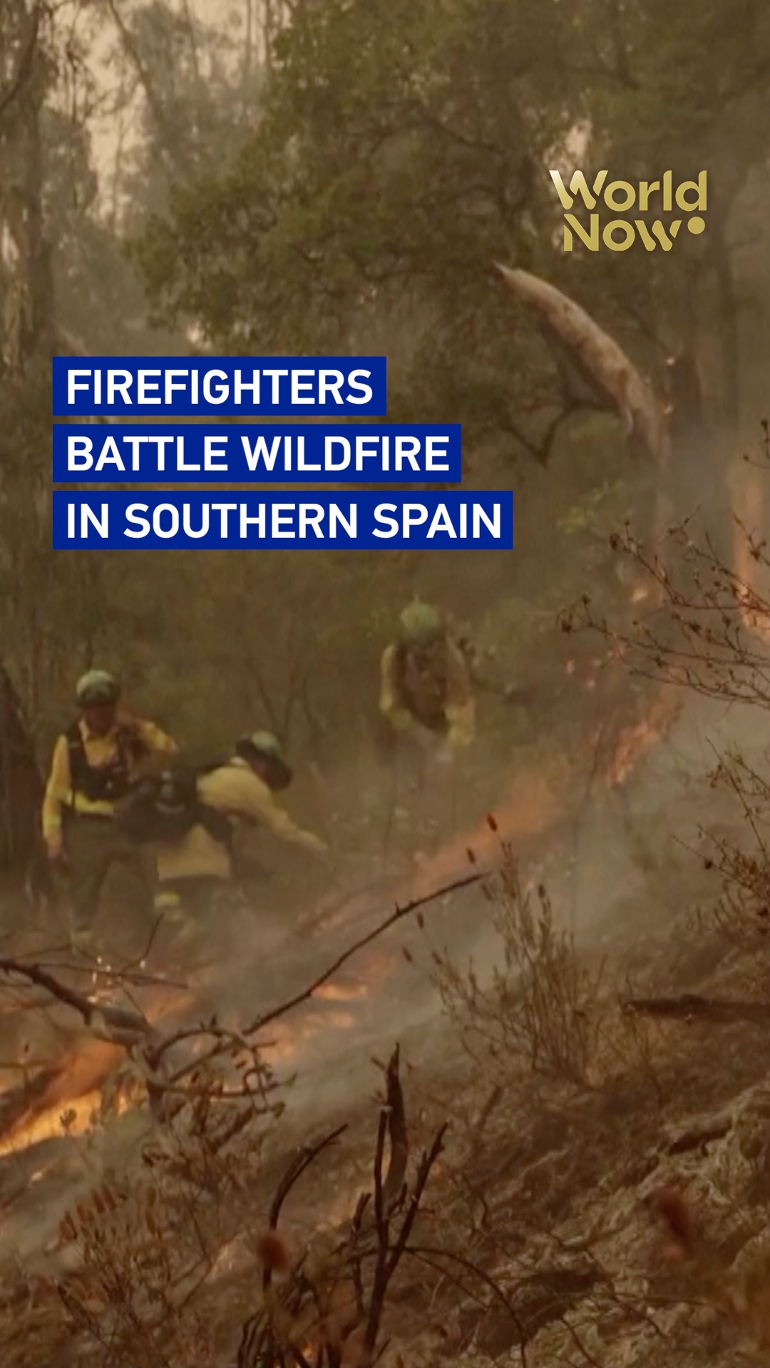 Firefighters battle wildfire in southern Spain
