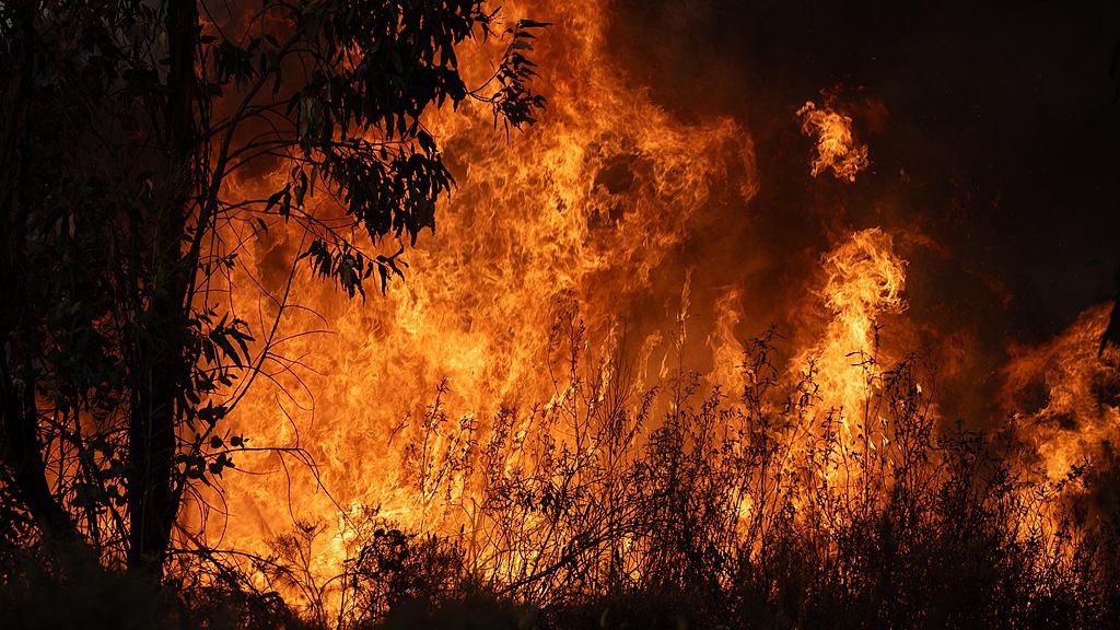 The wildfire remains active, with more than 4,000 hectares affected in Niebla, Huelva, Andalusia, August 8, 2026. /VCG