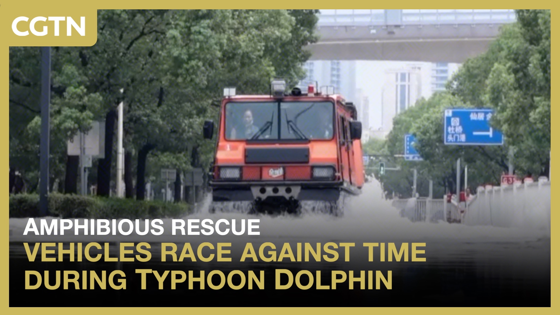 Amphibious rescue vehicles race against time during Typhoon Dolphin