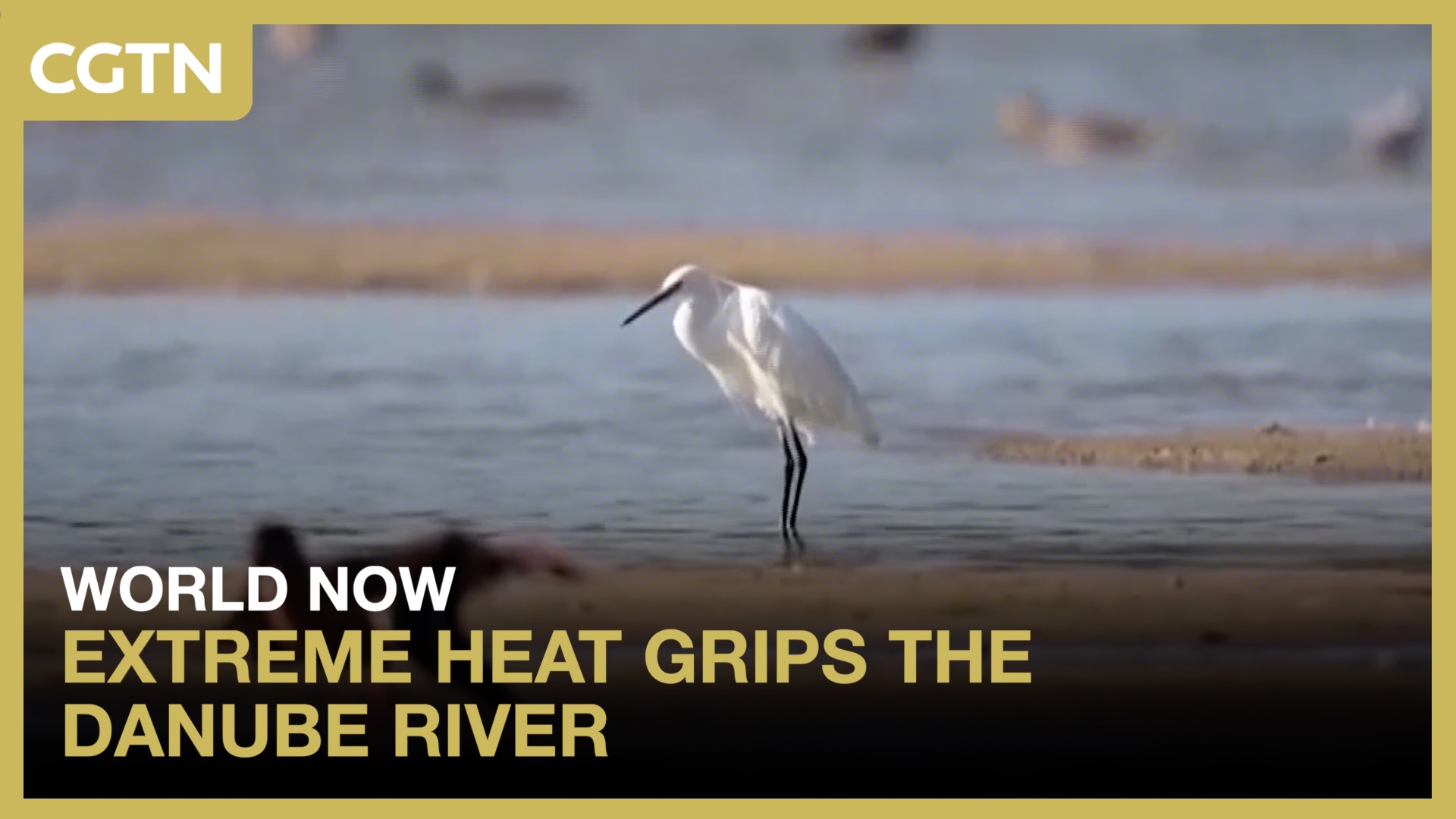 Extreme heat grips the Danube River