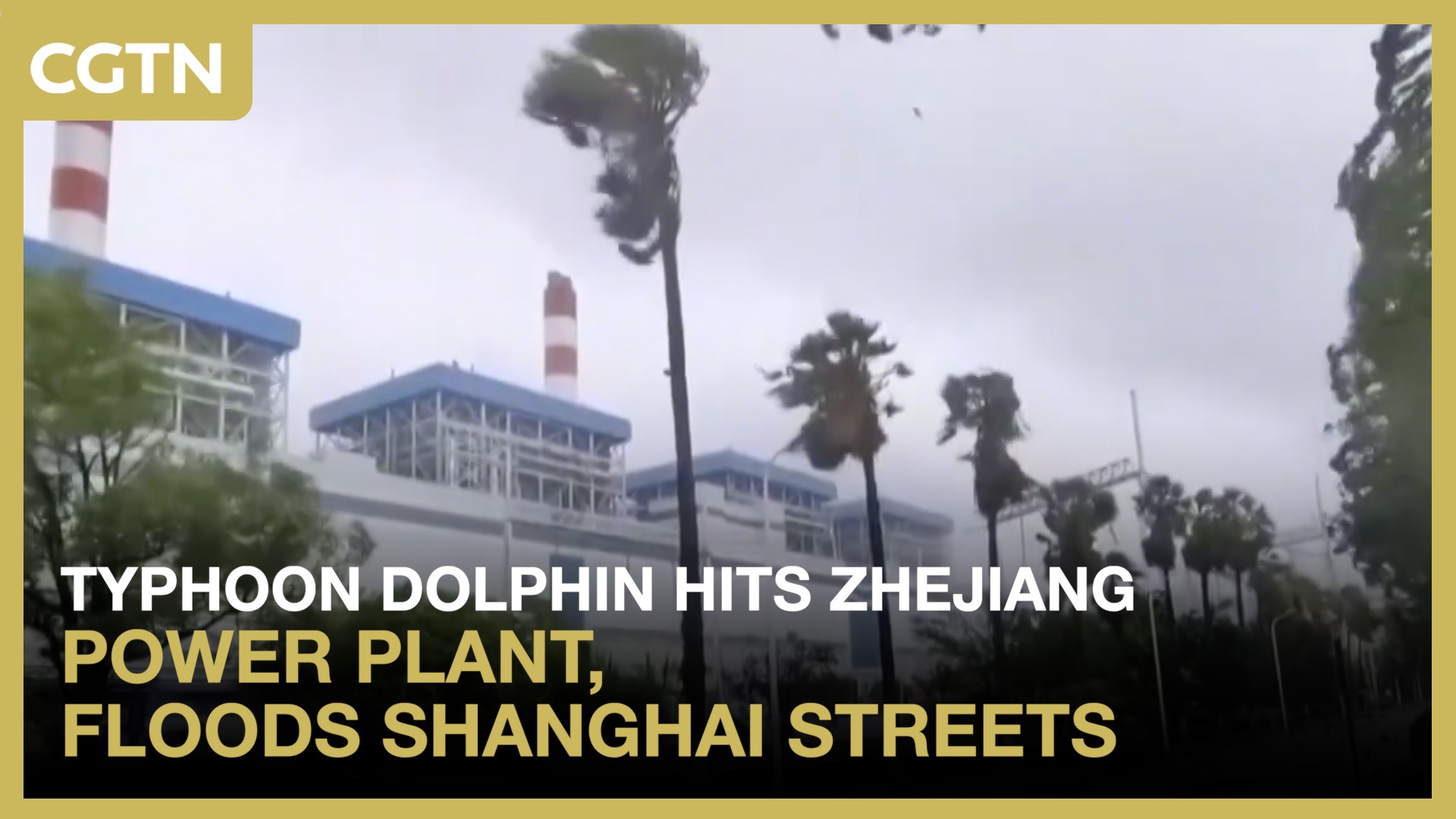 Typhoon Dolphin hits Zhejiang power plant, floods Shanghai streets