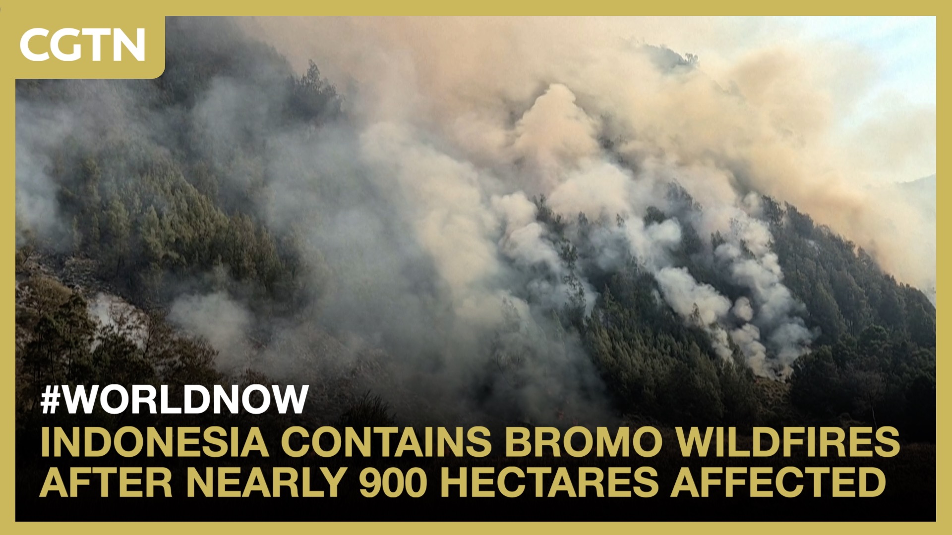 Indonesia contains Bromo wildfires after nearly 900 hectares affected