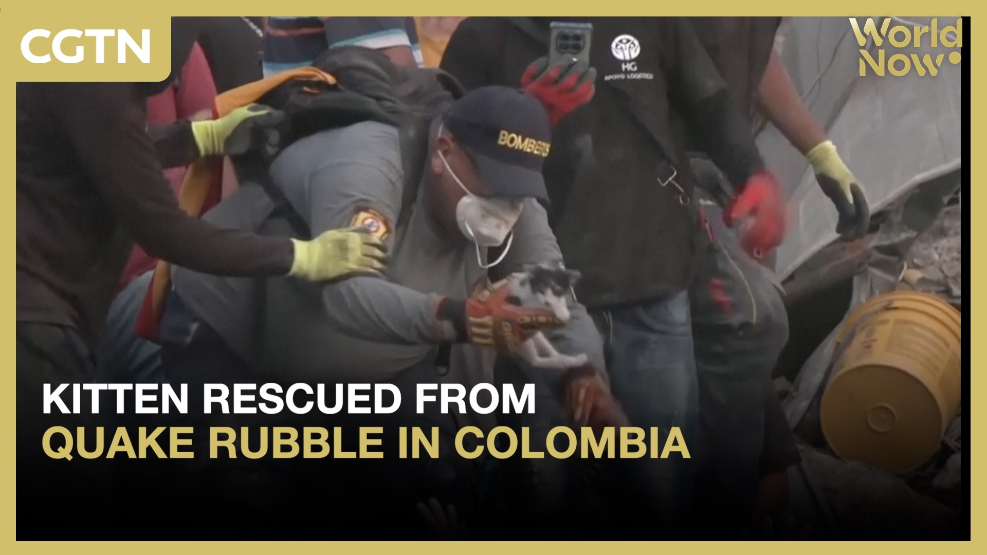 Kitten rescued from quake rubble in Colombia