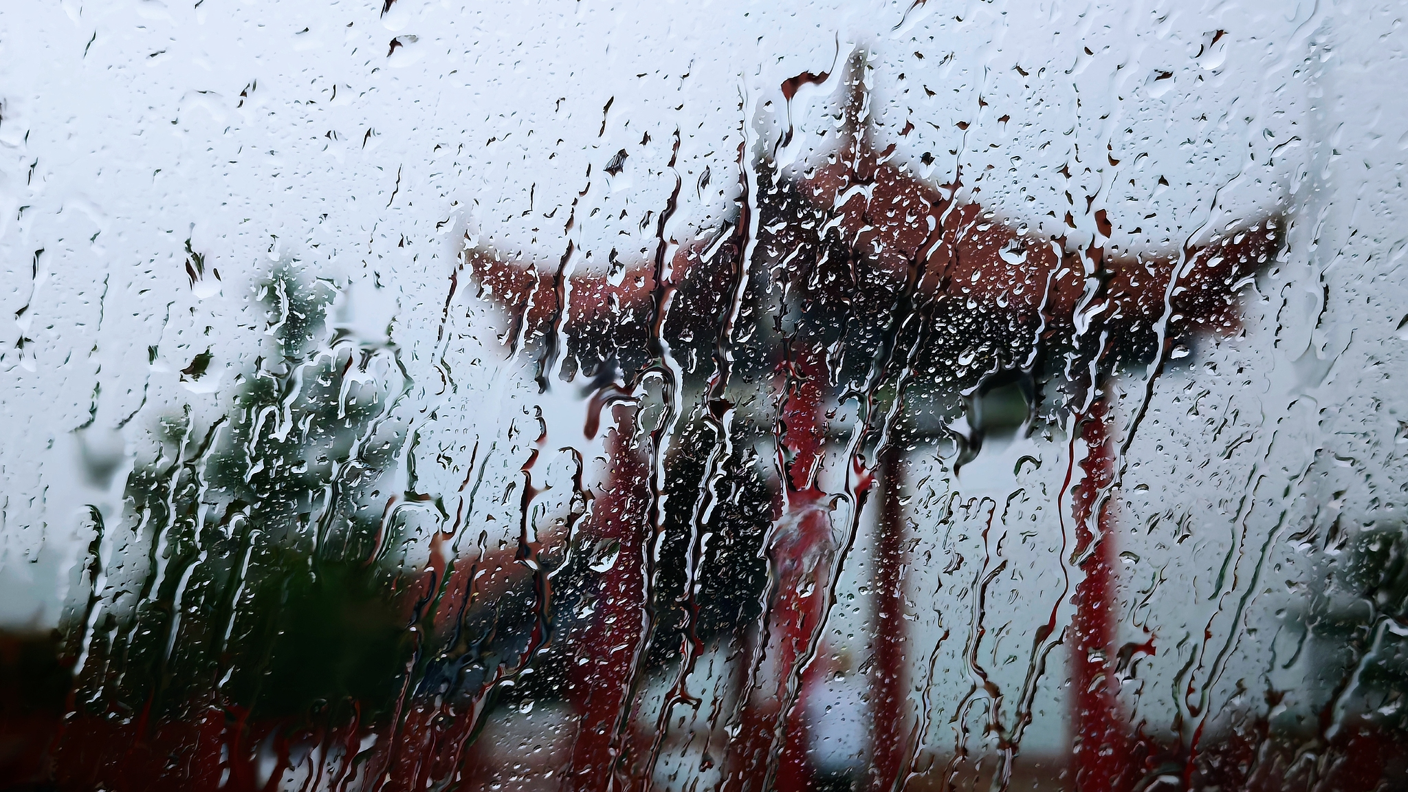 Typhoon Dolphin brings heavy rain, floods in China