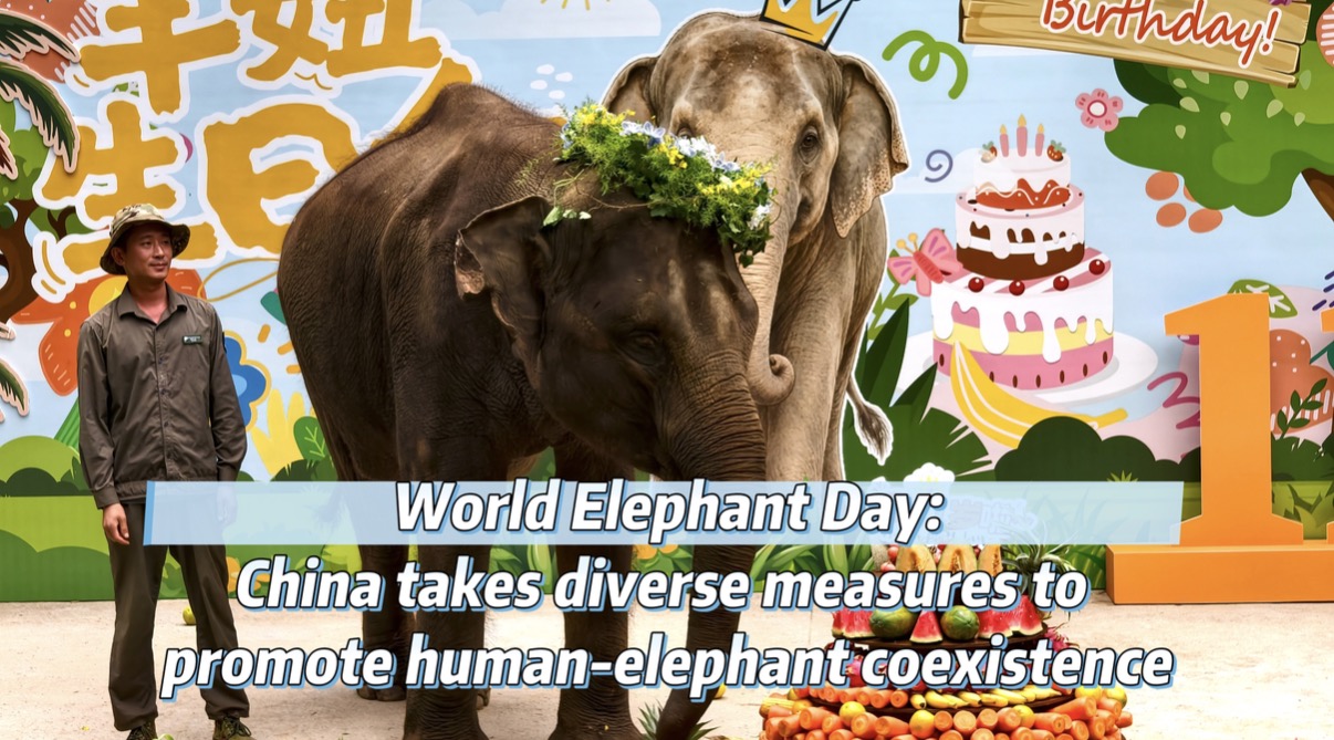 China takes diverse measures to promote human-elephant coexistence