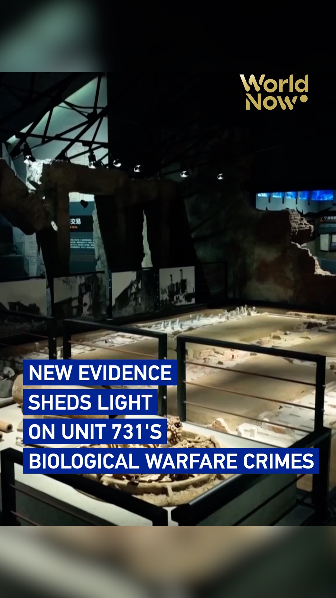 New evidence sheds light on Unit 731's biological warfare crimes