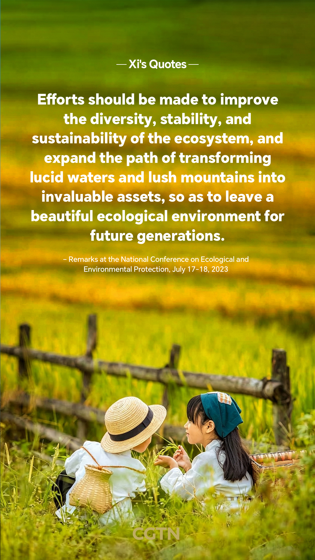 President Xi Jinping's key quotes on ecological protection