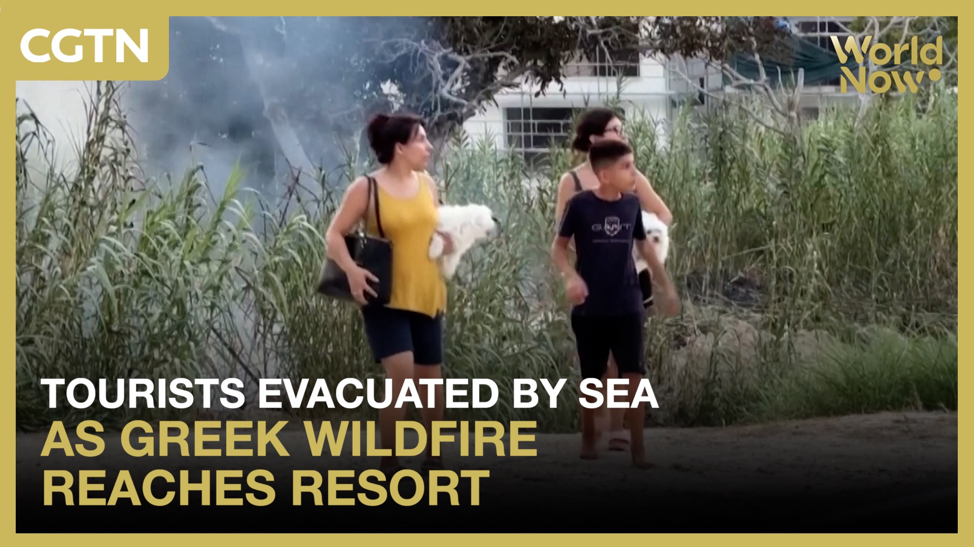 Tourists evacuated by sea as Greek wildfire reaches resort