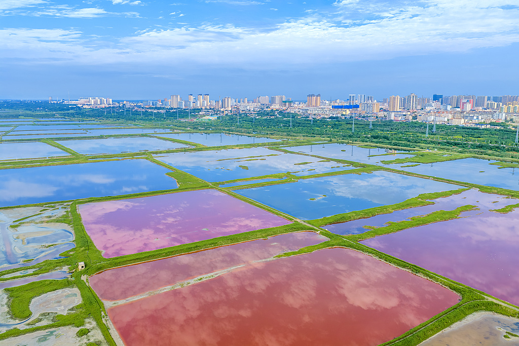 Ecological restoration measures, including turning salt flats back into lakes and restoring wetland vegetation, have continued to improve the local ecosystem, Yuncheng, north China's Shanxi Province, August 13, 2026. /VCG