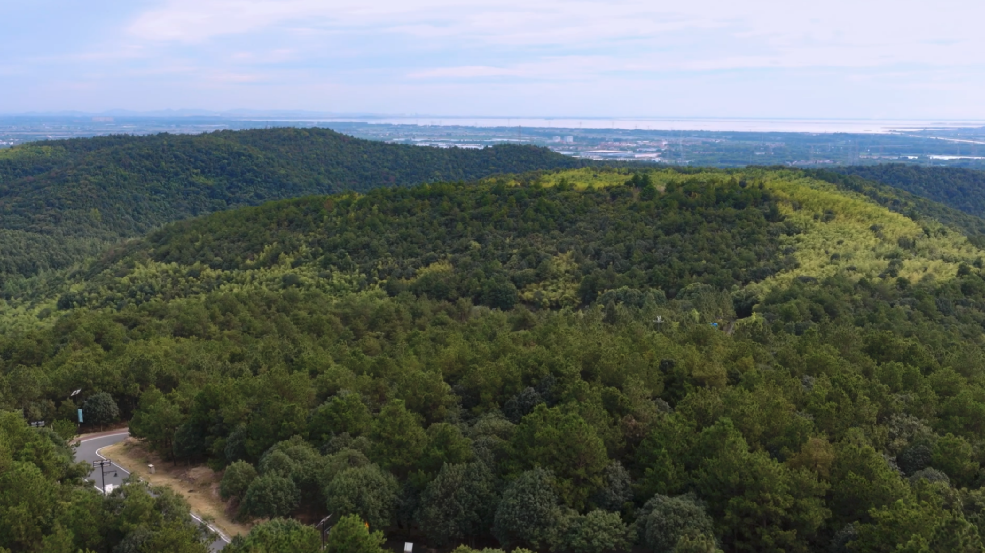 A digital map interface showing forest areas with color-coded risk levels for pine wilt disease detection.