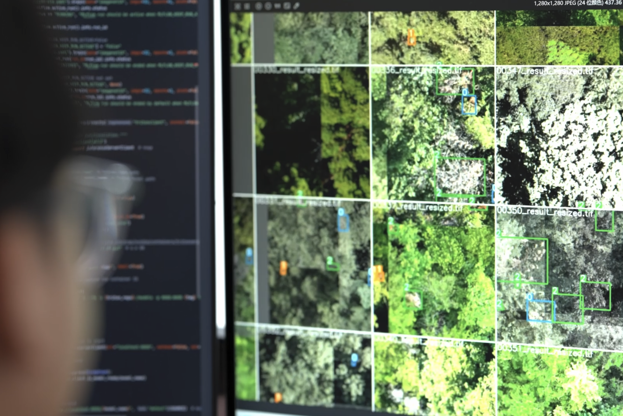 A researcher analyzes the data of the pine trees in Nanjing, Jiangsu Province, China, August 12, 2026./Nanjing Forestry University