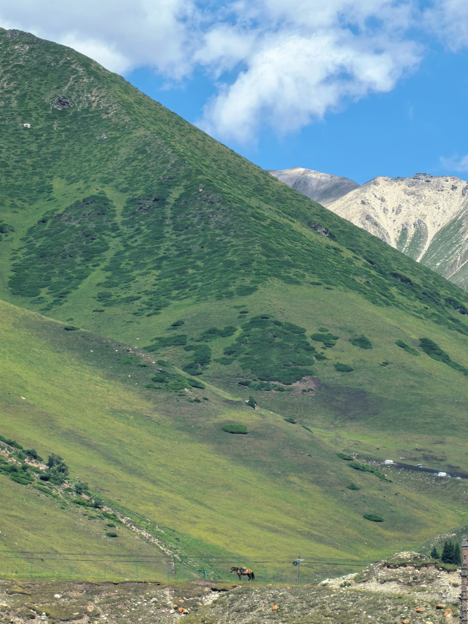 Scenery along the Duku Highway is seen in northwest China's Xinjiang Uygur Autonomous Region on July 25, 2026. /CGTN