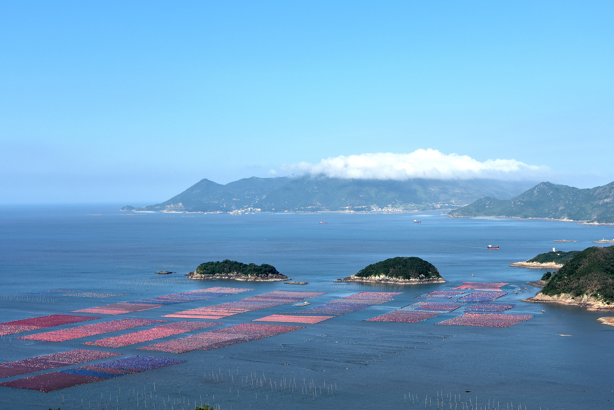 A marine ranch in Fujian Province, southeast China, July 4, 2026. /VCG