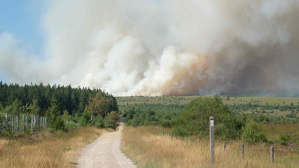 A plume of smoke rises into the sky during a wildfire in the High Fens nature reserve in Jalhay, Belgium, August 14, 2026. /VCG