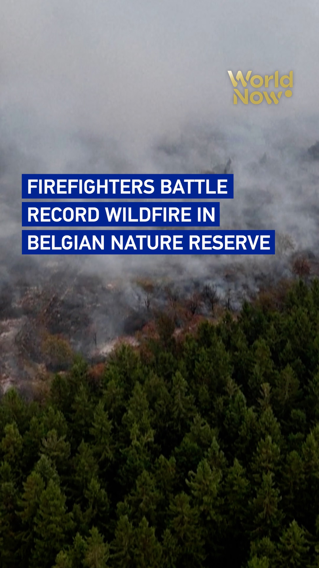 Firefighters battle record wildfire in Belgian nature reserve