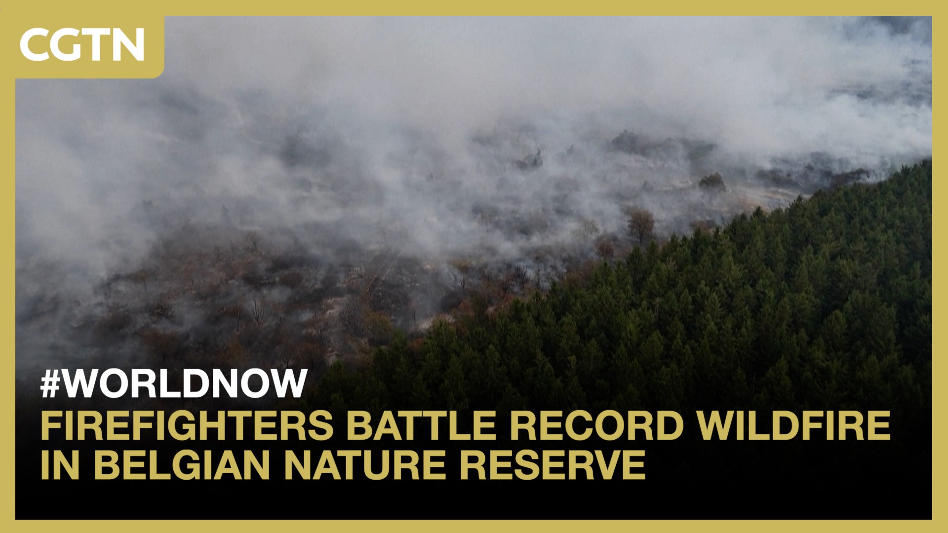 Firefighters battle record wildfire in Belgian nature reserve
