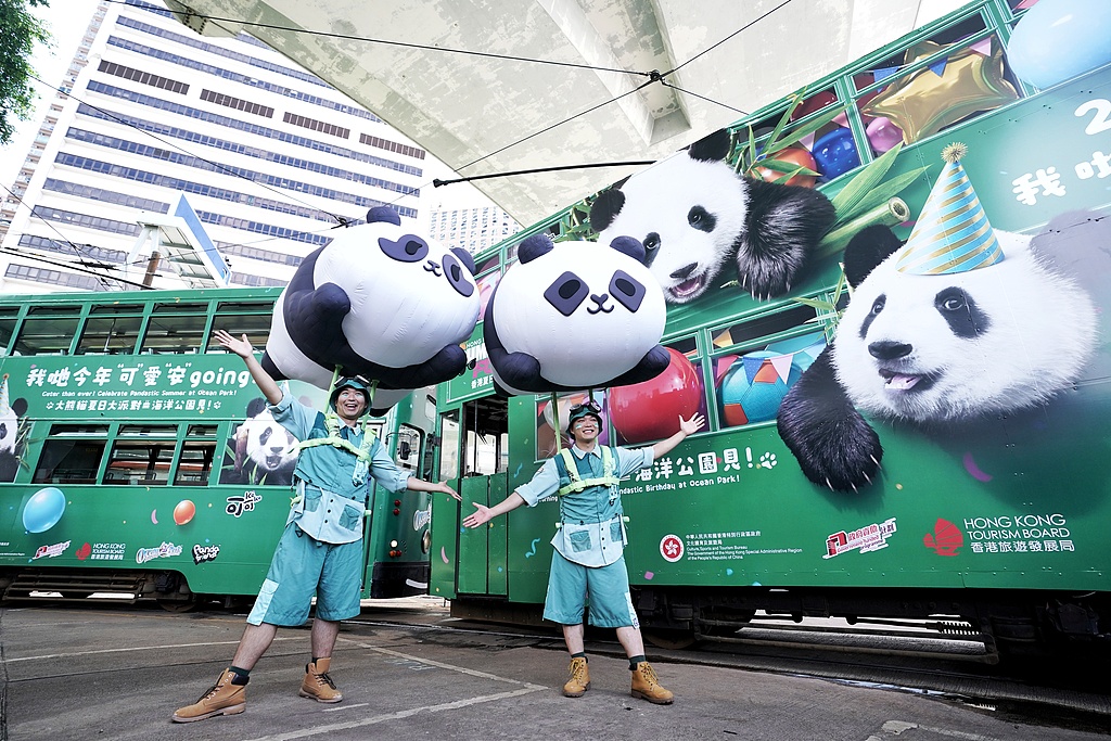 Ocean Park Hong Kong rolls out four panda-themed trams for twins Jia Jia and De De's 2nd birthday, Hong Kong, China, August 4, 2026. /VCG
