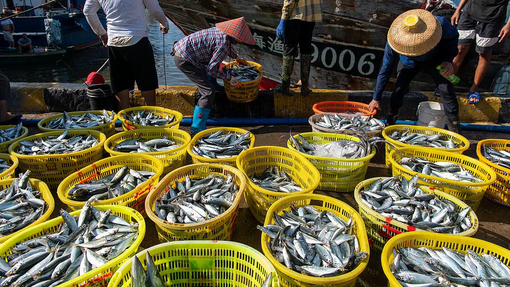 Fishermen unload their fresh catch from the first returning fishing boats at a fishing port in Qionghai City, south China's Hainan Province, August 17, 2026. /VCG