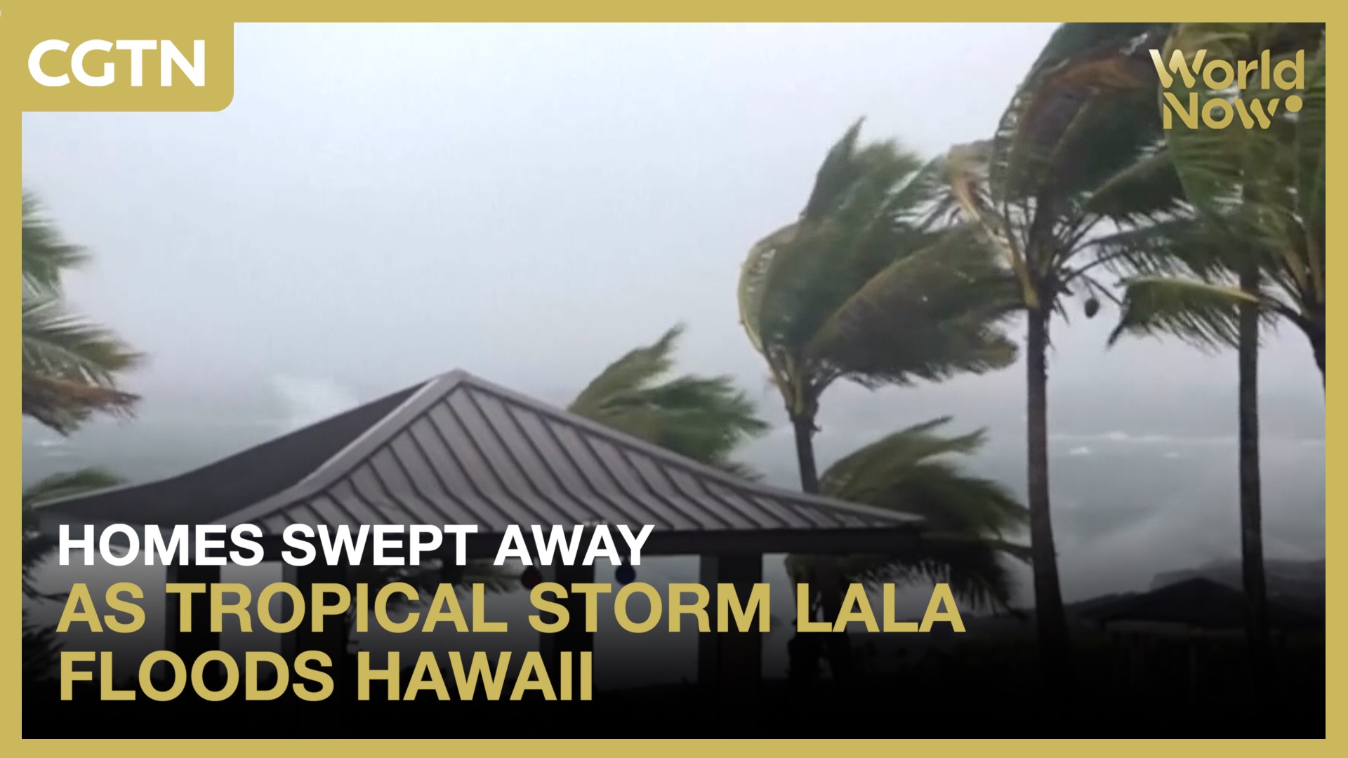 Homes swept away as Tropical Storm Lala floods Hawaii
