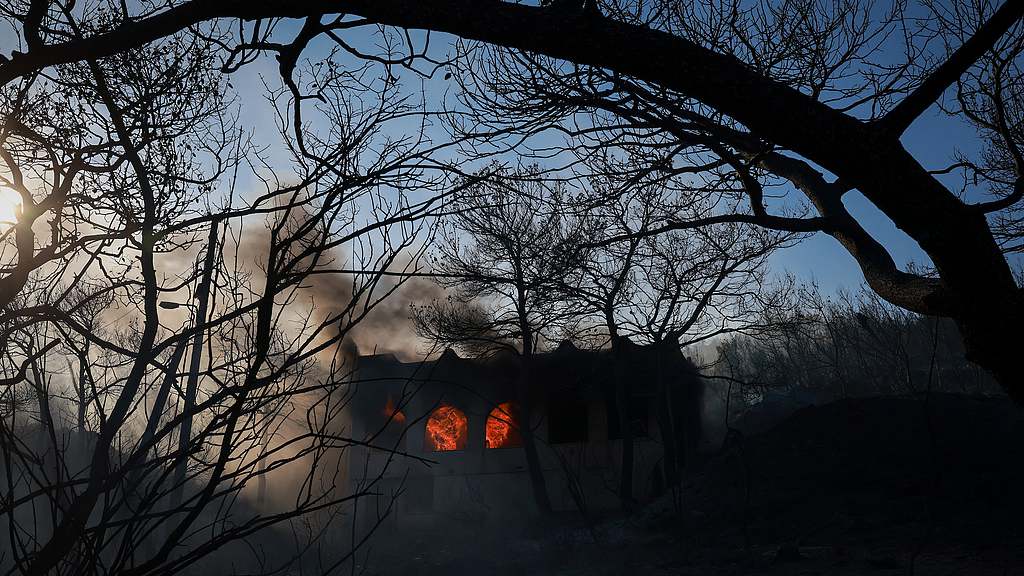 Wildfires across Europe leave deaths and destruction